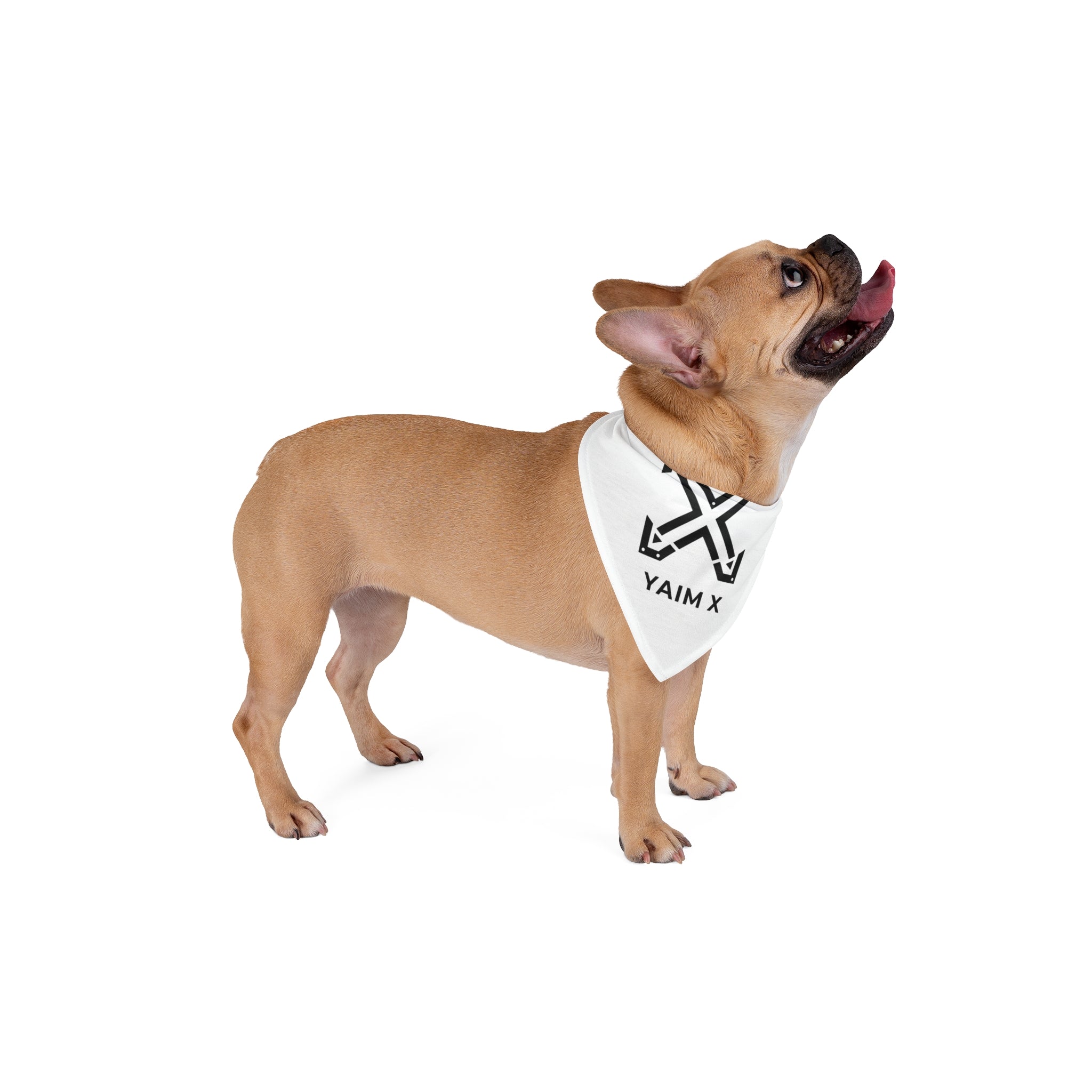 Pet Bandana — Minimal Black 'YAIM X' Logo Triangle Scarf for Dogs & Cats